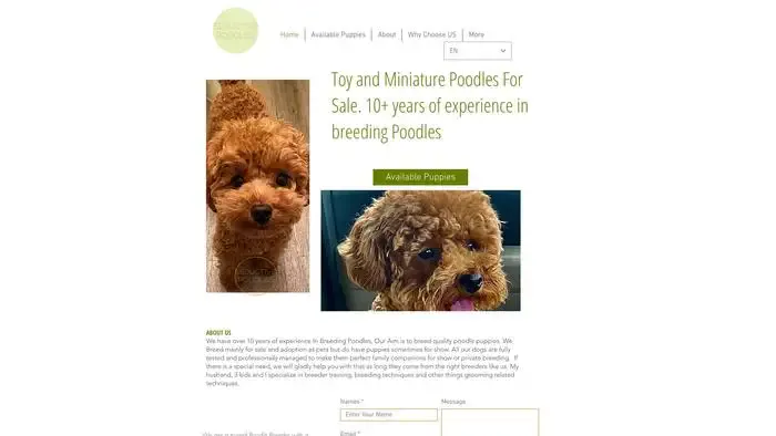 Screenshot of