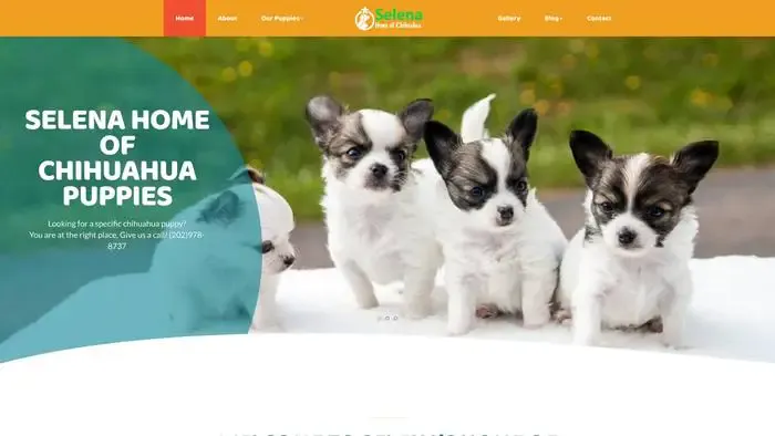 Screenshot of