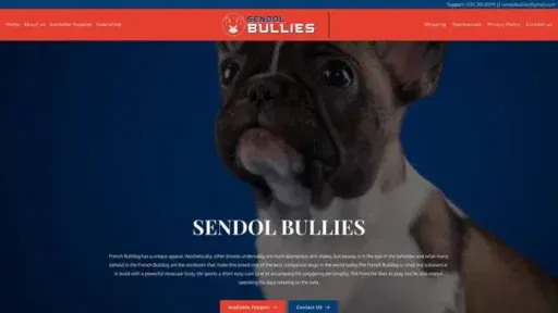 Screenshot of
