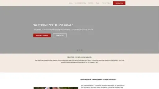 Screenshot of