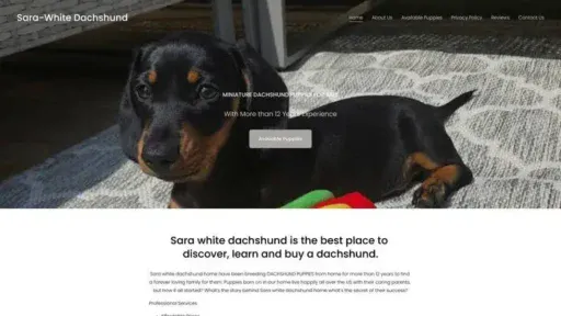 Screenshot of