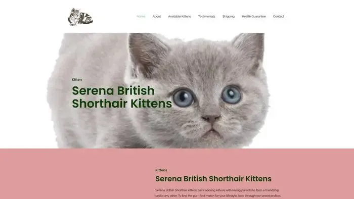 Screenshot of