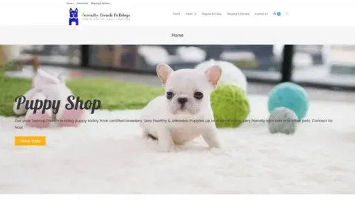 Screenshot of
