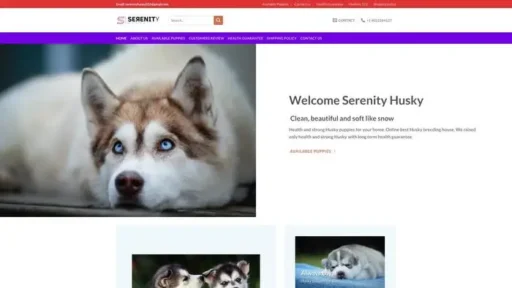 Screenshot of