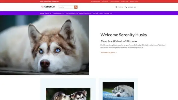 Screenshot of