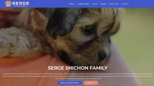 Screenshot of