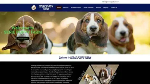 Screenshot of