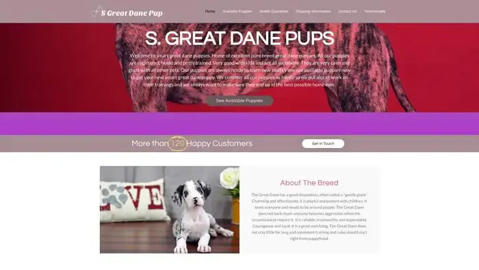 Screenshot of