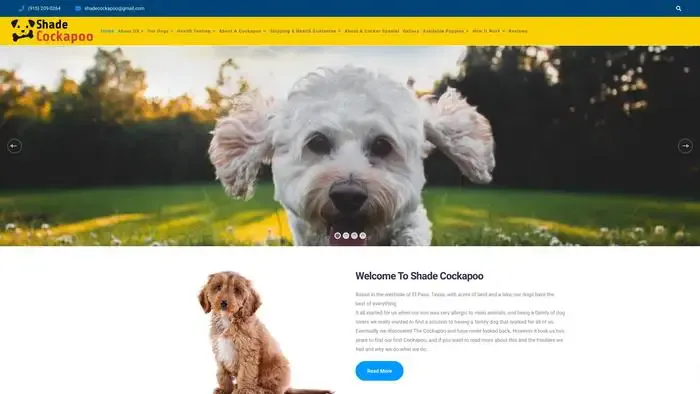 Screenshot of