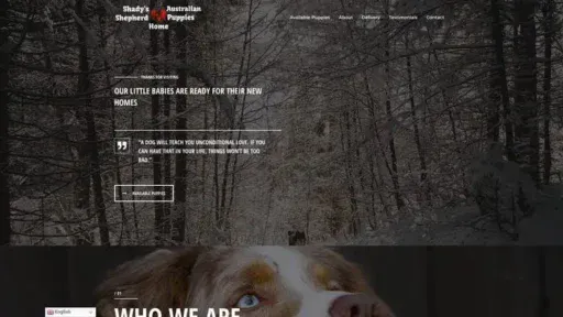 Screenshot of