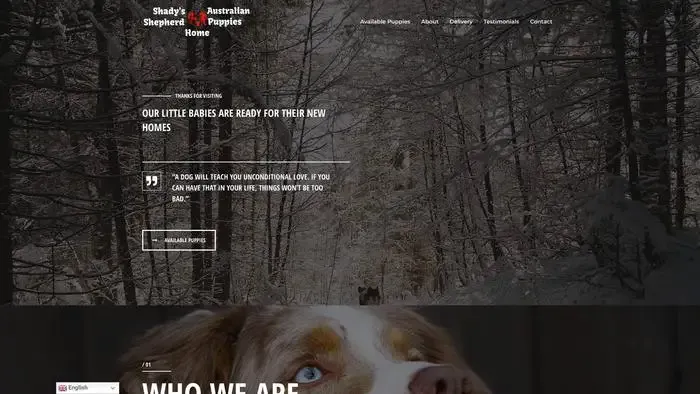 Screenshot of