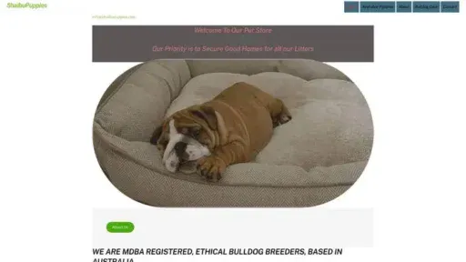 Screenshot of