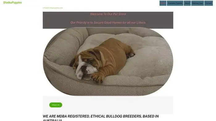 Screenshot of