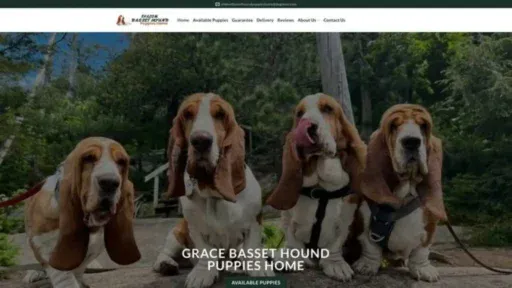 Screenshot of||