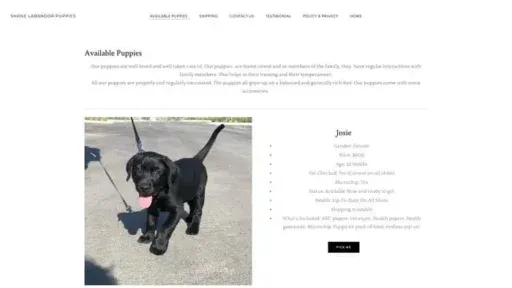 Screenshot of