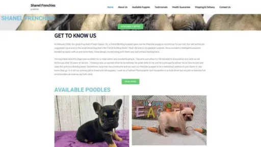 Screenshot of