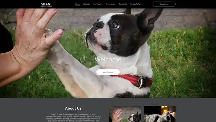 Screenshot of