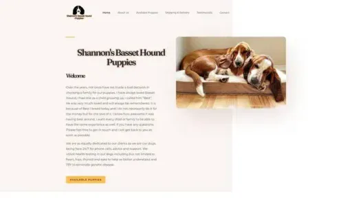 Screenshot of