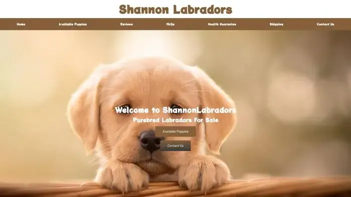 Screenshot of