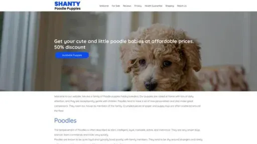 Screenshot of