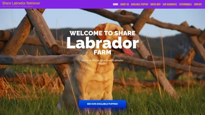 Screenshot of
