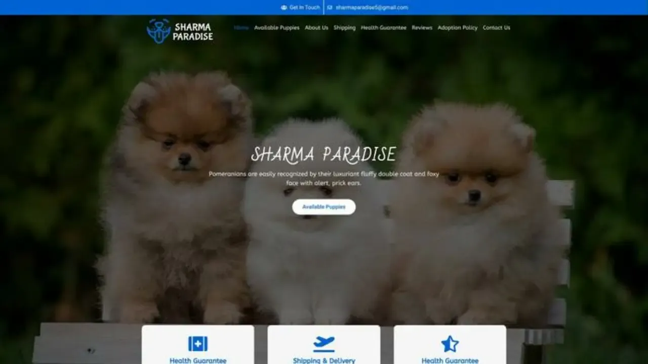 Sharmaparadise