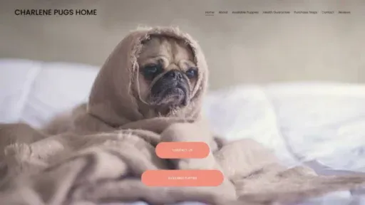 Screenshot of||