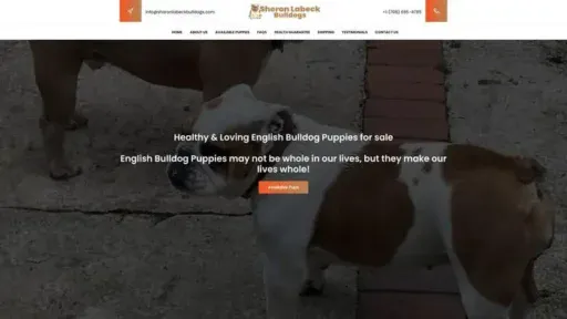 Screenshot of