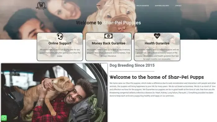 Screenshot of
