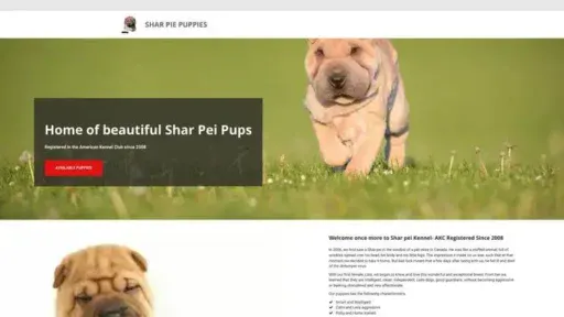 Screenshot of