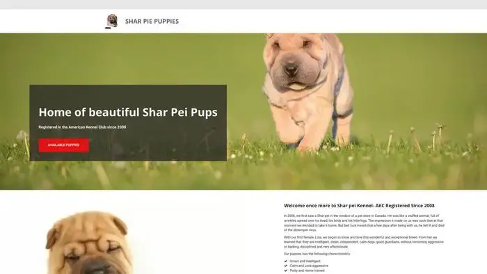 Screenshot of