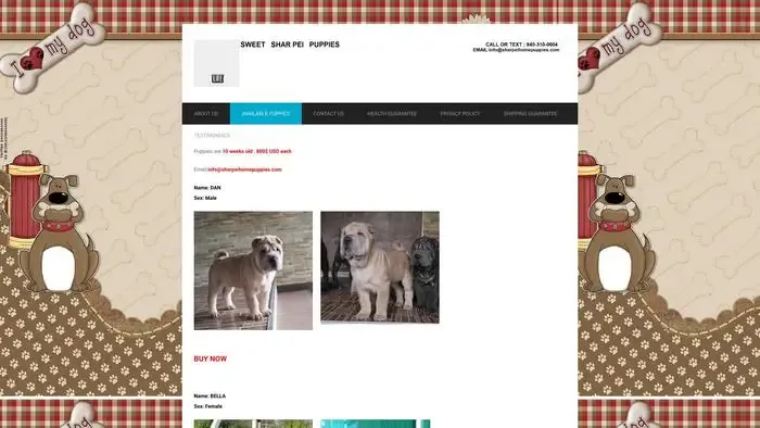 Screenshot of