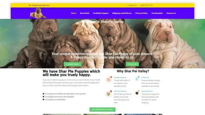 Screenshot of