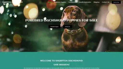 Screenshot of||