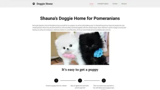 Screenshot of