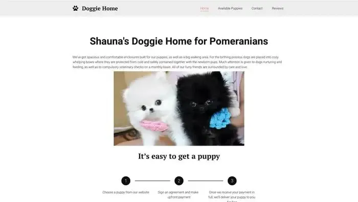 Screenshot of
