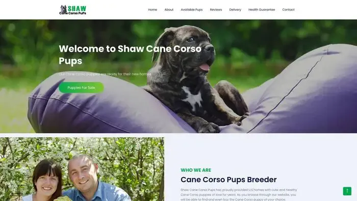 Screenshot of