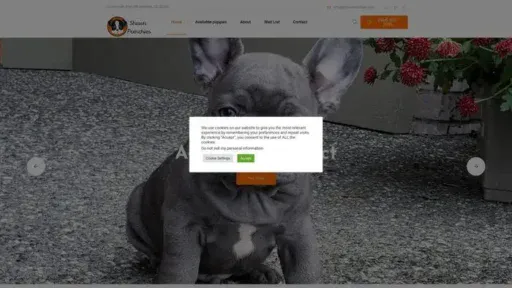 Screenshot of