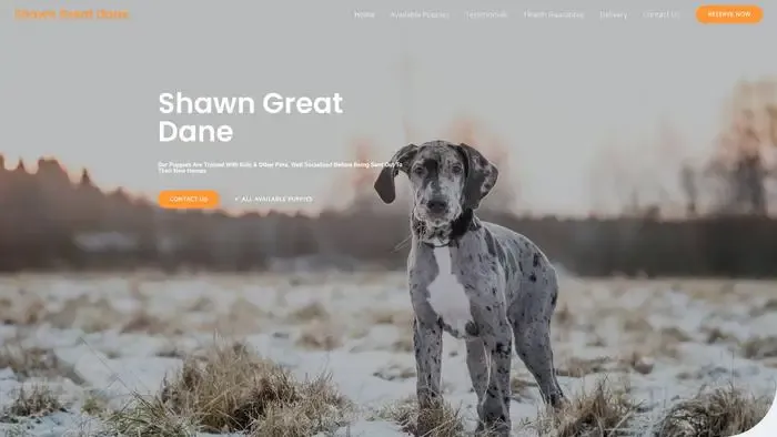 Screenshot of