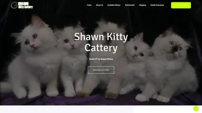 Screenshot of