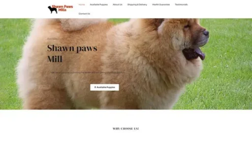 Screenshot of