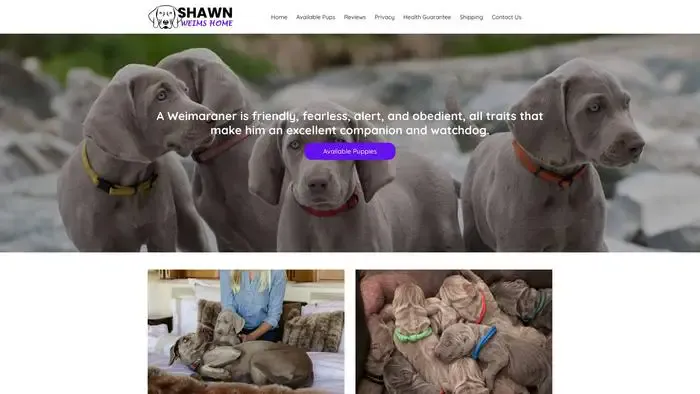 Screenshot of