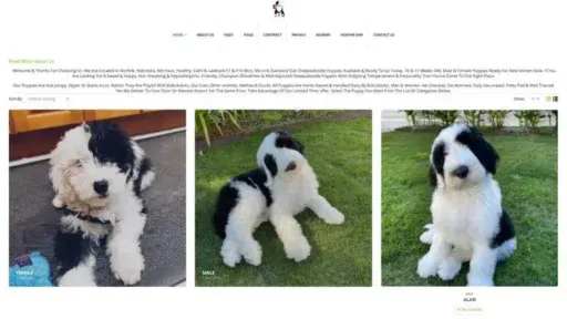 Screenshot of