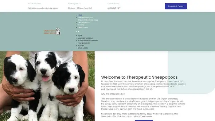 Screenshot of