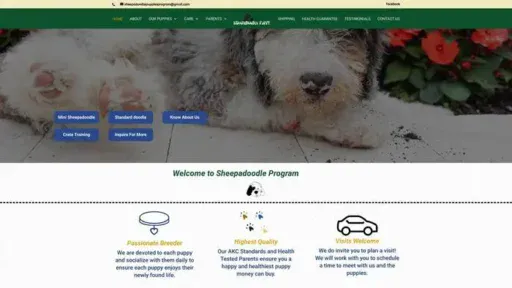 Screenshot of