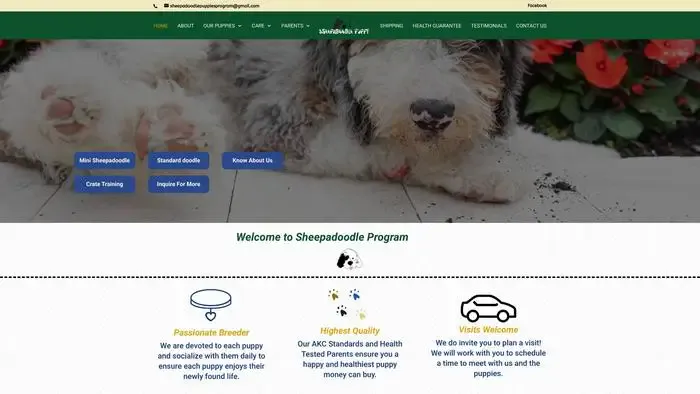 Screenshot of