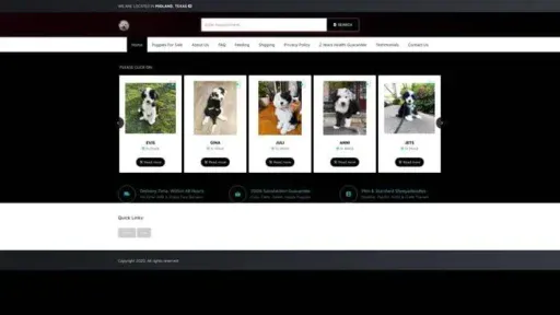 Screenshot of