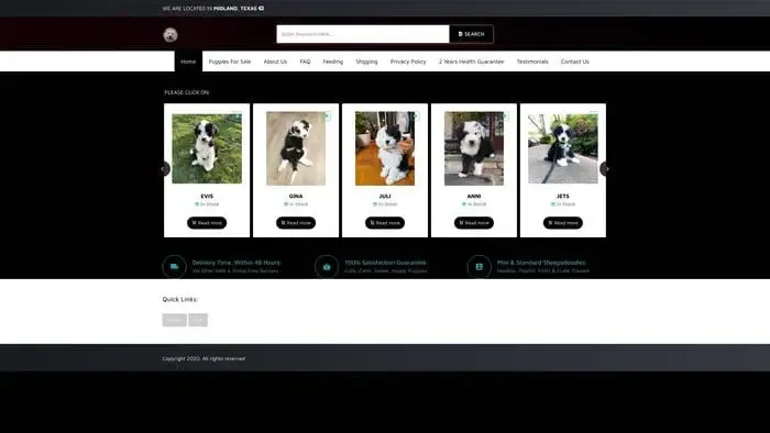 Screenshot of