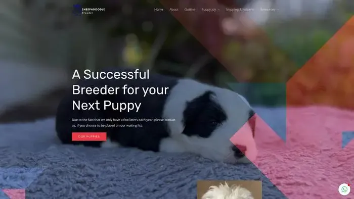 Screenshot of