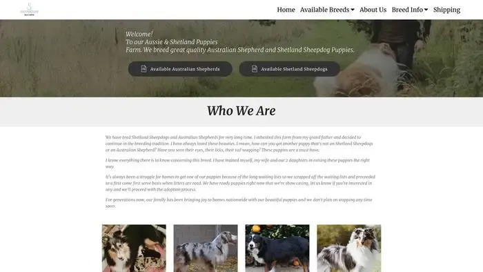 Screenshot of
